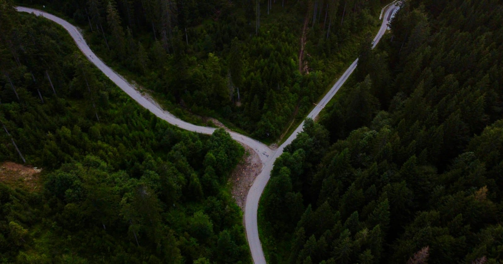 Aerial view of a fork in a winding forest road