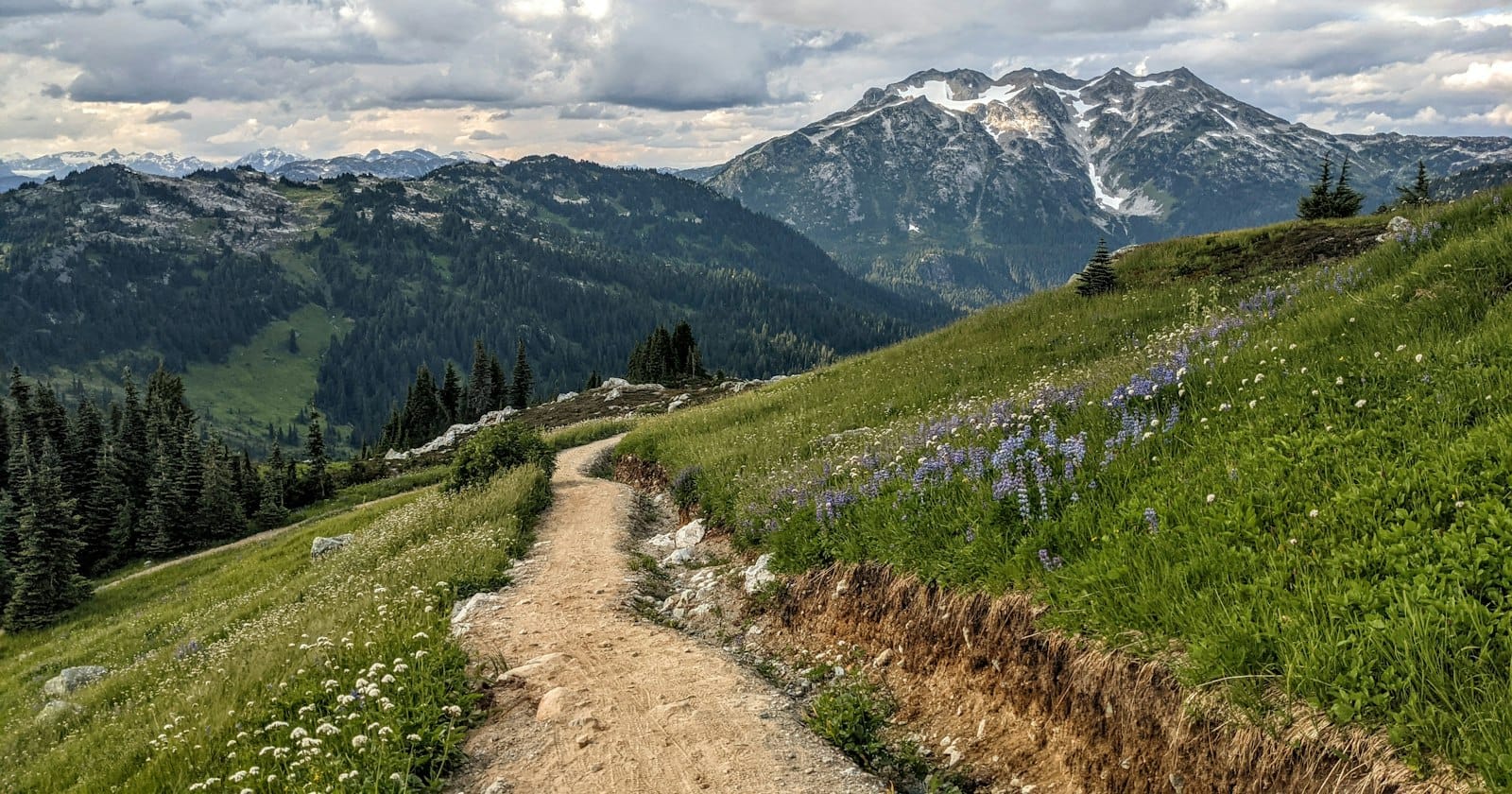 A winding trail through a green mountain meadow toward distant peaks